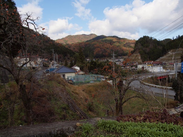 北東の風景＆田んぼ_c0116915_23462363.jpg