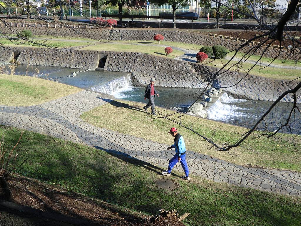 2011年12月4日　はだの水無川マラソン大会に参加_d0252115_2017234.jpg