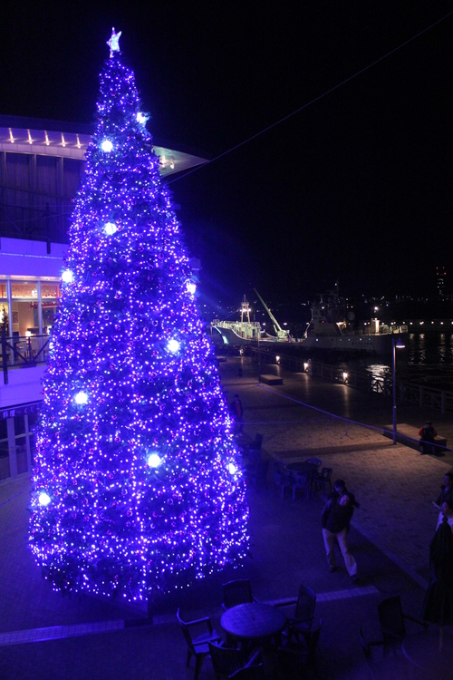 f0233916_2033043.jpg