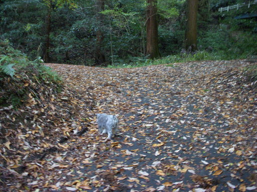 e0109622_17163944.jpg