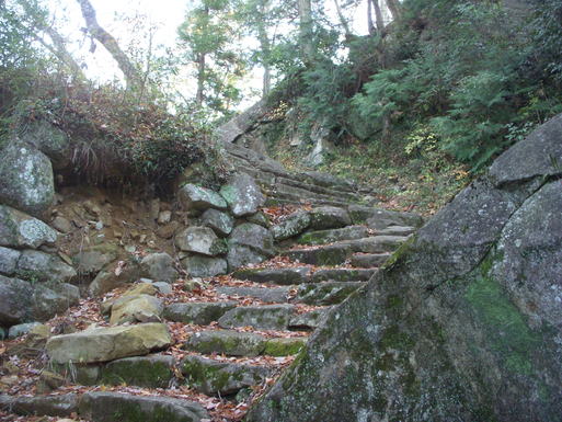 e0109622_1720577.jpg