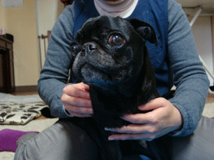f0232522_22525257.gif