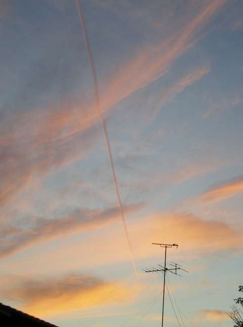 e0128024_16253534.jpg