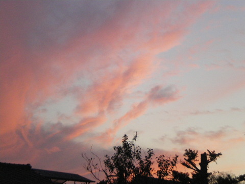 e0128024_1628067.jpg