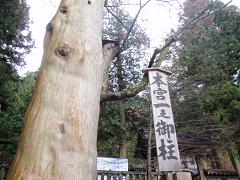 f0022024_1055815.jpg