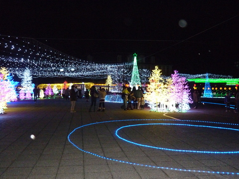 b0208228_10291339.jpg