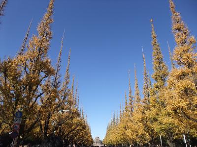 f0152029_2285286.jpg
