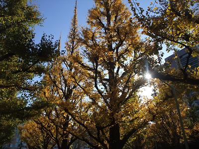 f0152029_2292011.jpg