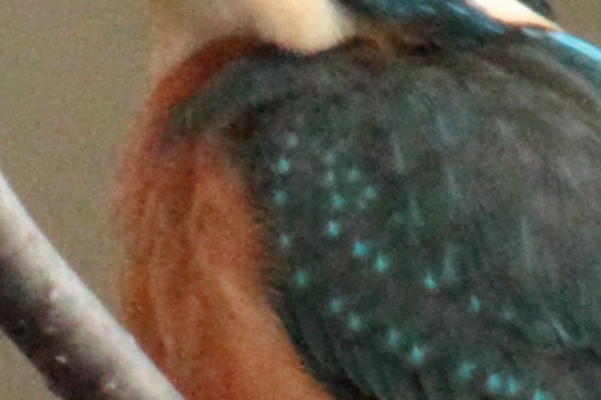 a0203733_18142477.jpg