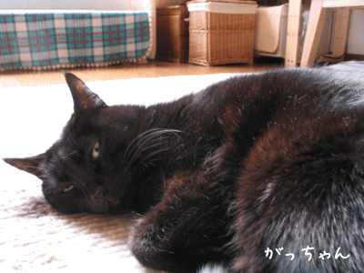 a0166338_14514481.gif