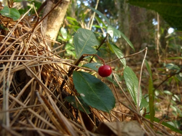 b0169238_2213877.jpg
