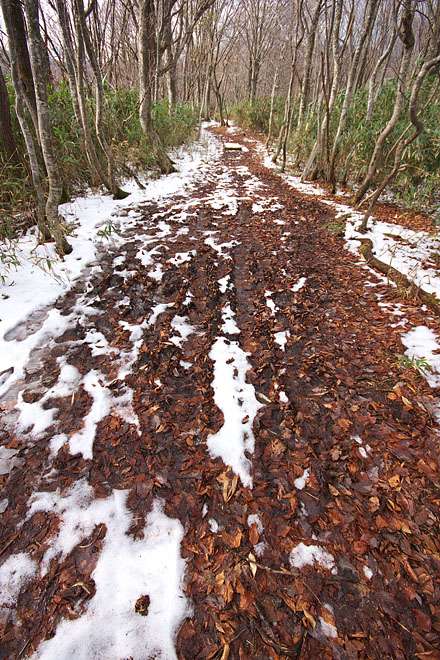 氷ノ山初冠雪　３_c0067040_22393324.jpg