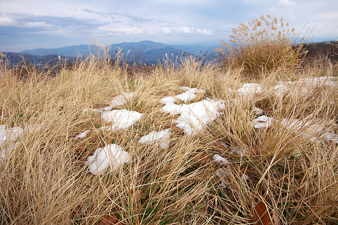 氷ノ山初冠雪　３_c0067040_22541112.jpg