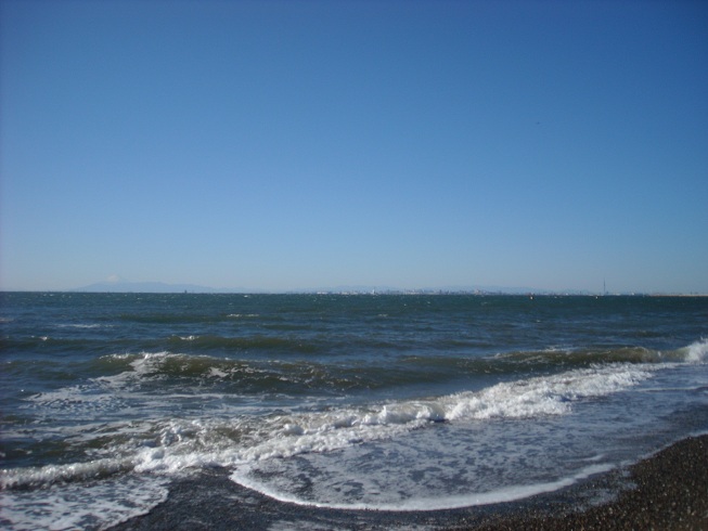 a0088456_16362871.jpg