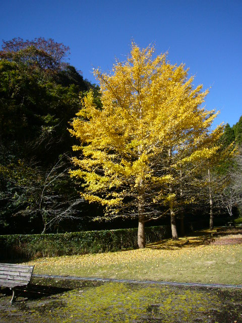 音羽の森の公園_f0147556_19433838.jpg