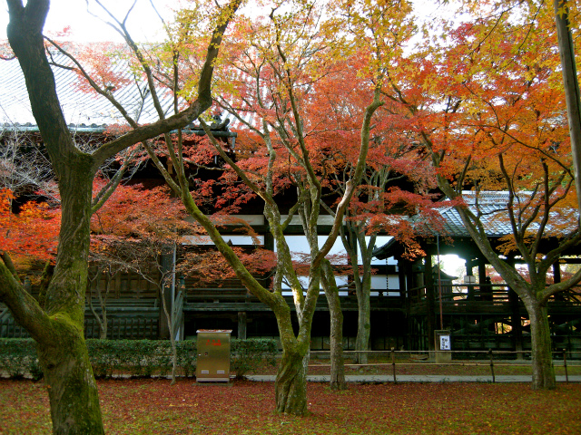 2011年12月4日14時59分開始　京都紅葉自転車旅 vol.2_e0162959_19443680.jpg