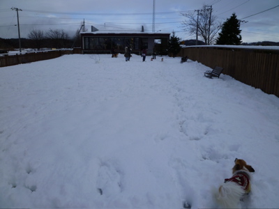 b0122262_23224363.jpg
