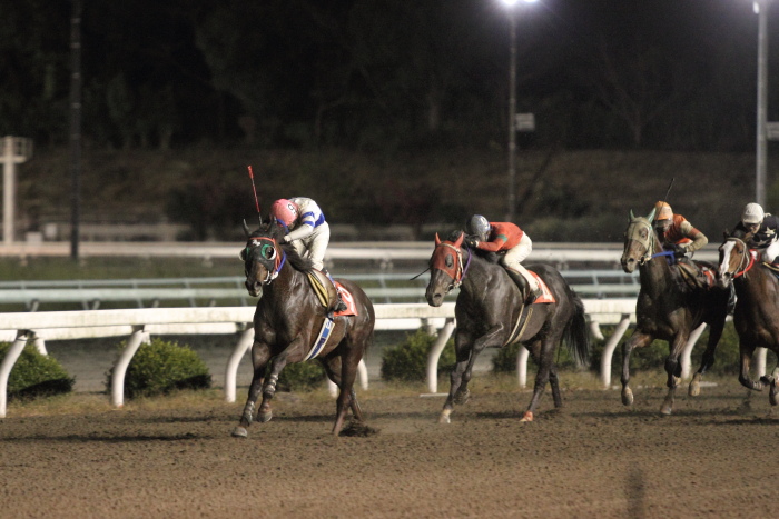 2011年12月3日（土） 高知競馬 10R 徳島県知事賞典 第26回 徳島県うずしお特別 B-1選抜馬 その2_a0077663_1019473.jpg