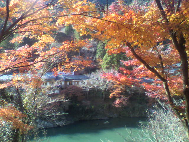 京都2011_c0018666_12485739.jpg