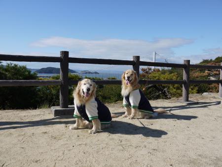 鷲羽山と中山公園_b0112568_1527175.jpg