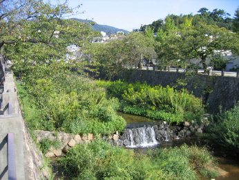d0060975_21513671.jpg