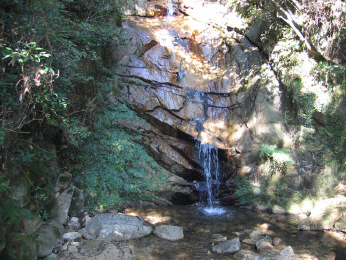 d0060975_2155460.jpg