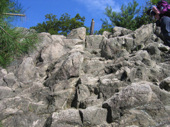 d0060975_224446.jpg