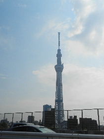 f0083977_1549574.jpg