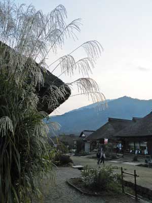f0083977_1612689.jpg