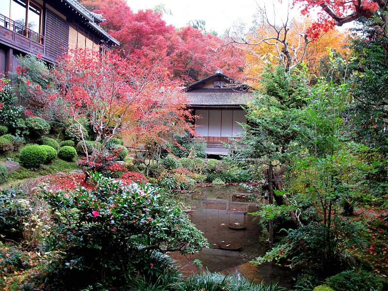 京都　大原　寂光院_b0122979_11433975.jpg