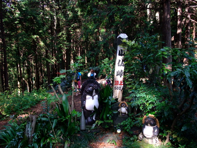 高尾山→城山→景信山　〜11月１３日(日)〜　その⑥_a0043982_19593556.jpg