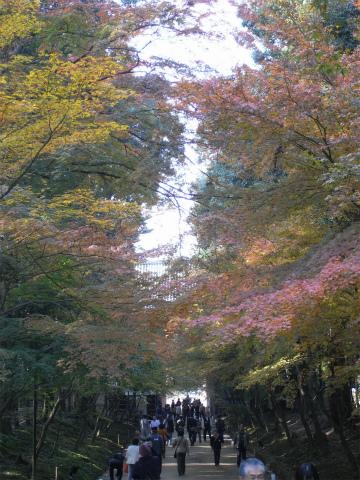 醍醐寺境内_f0197985_17402169.jpg