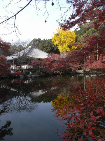 醍醐寺境内_f0197985_17412412.jpg