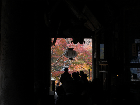 長谷寺の紅葉_f0197985_8562227.jpg