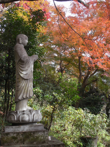 長谷寺の紅葉_f0197985_856474.jpg