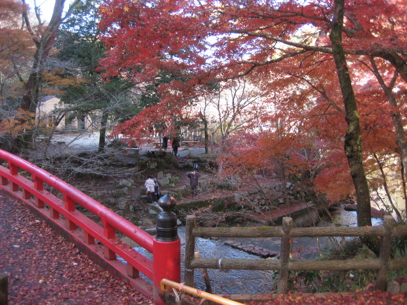 c0013687_22433396.jpg