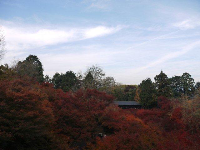 b0175688_23253196.jpg