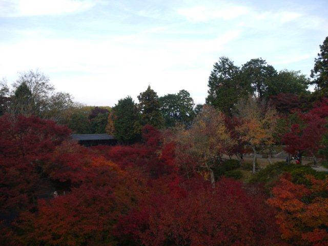 b0175688_23254196.jpg