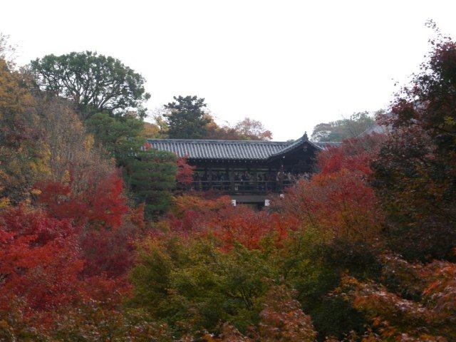 b0175688_23554249.jpg