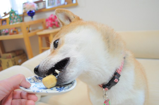 美味しいおやつ_a0126590_22474380.jpg