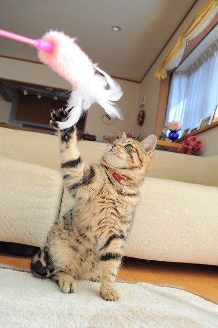 信じてる_a0126590_8521451.jpg