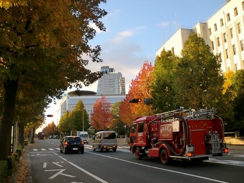 大阪城ランニング　紅葉写真集　12月４日（日）ＲＵＮ：39ｋｍ_b0176192_12362258.jpg