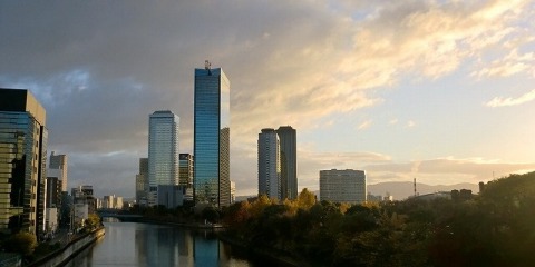 大阪城ランニング　紅葉写真集　12月４日（日）ＲＵＮ：39ｋｍ_b0176192_1236715.jpg