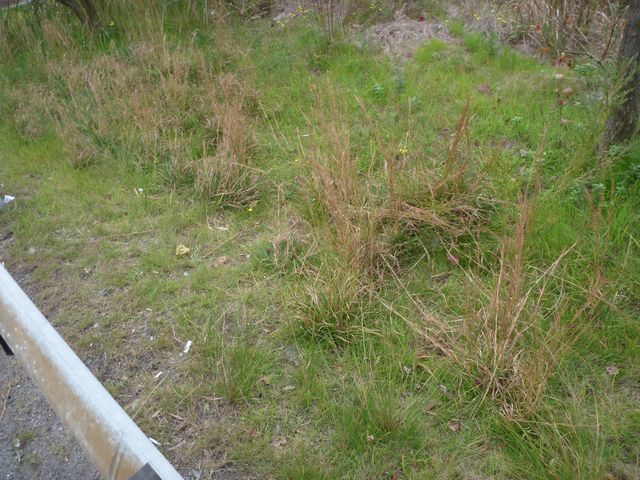 b0190092_14442565.jpg