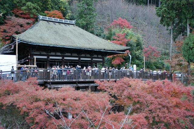 さすがです。紅葉も最高です。清水寺を訪ねました_d0181492_21365693.jpg