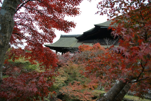 さすがです。紅葉も最高です。清水寺を訪ねました_d0181492_2137408.jpg