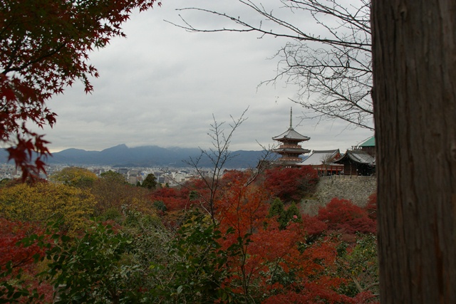 さすがです。紅葉も最高です。清水寺を訪ねました_d0181492_21384712.jpg