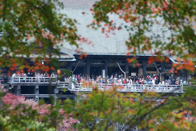 さすがです。紅葉も最高です。清水寺を訪ねました_d0181492_21402834.jpg