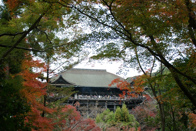 さすがです。紅葉も最高です。清水寺を訪ねました_d0181492_2141282.jpg