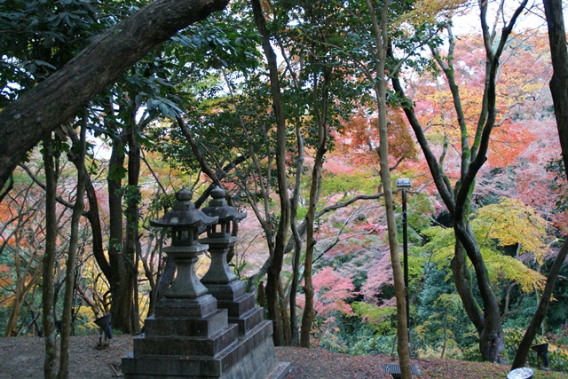 さすがです。紅葉も最高です。清水寺を訪ねました_d0181492_21415812.jpg